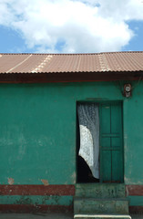 Fototapeta na wymiar biała kurtyna wieje od drzwi domu zielone