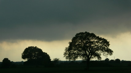 landschaft