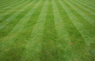 lawn cut with stripes