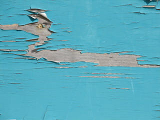 Fototapeta premium old paint