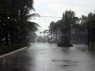 sturm + regen in florida (2)