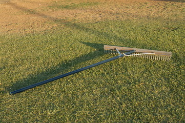 rake in the grass