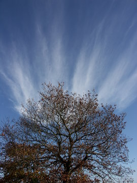 cirrus-wolke