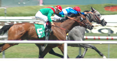 race horses on the turf