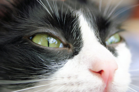 look into my eyes
