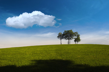 summer, trees, hill and blue sky