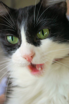 anger