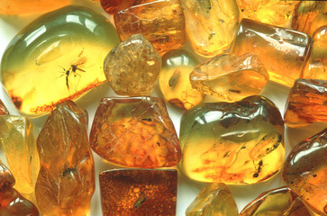 raw amber