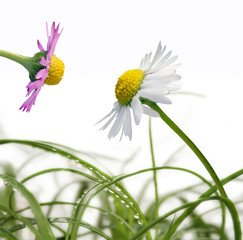 rencontre amoureuse 2