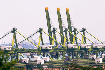 huge gantry cranes and container