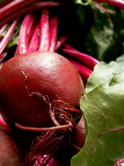 beetroot