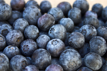 blueberries