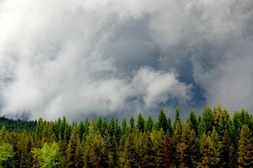 Obraz na płótnie Canvas burza z piorunami