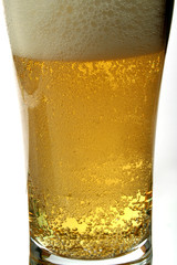 glass of beer