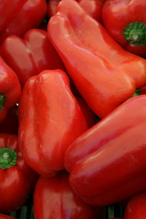 pimientos rojo