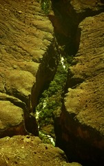amerika arizona grand canyon