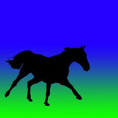 black horse illustration