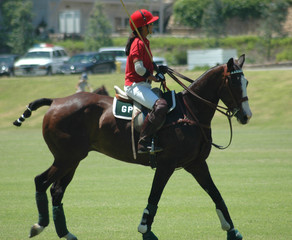 polo player