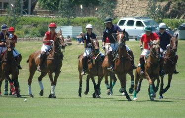 polo players