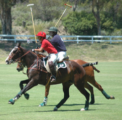 polo players