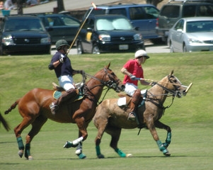 polo players