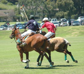 polo players