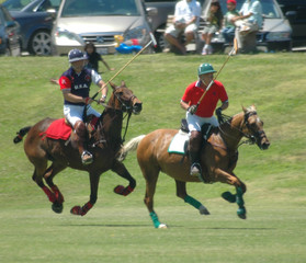 polo players