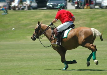 polo player