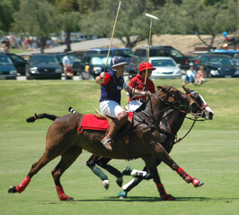 polo players