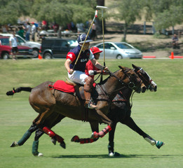 polo players