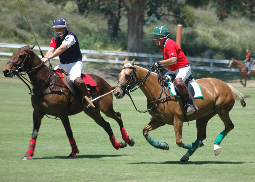 polo players