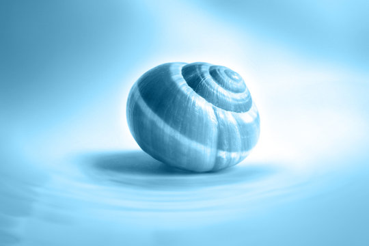 geborgenheit
