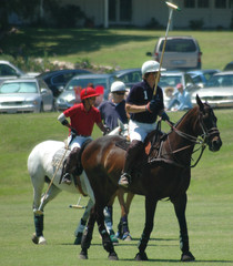 polo players