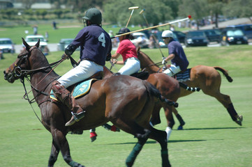 polo players