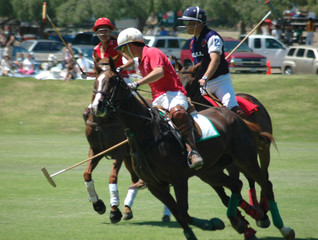 polo players