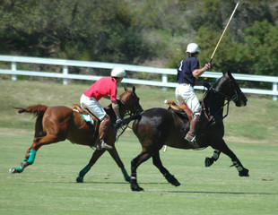 polo players