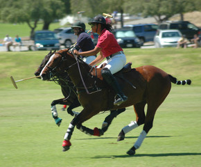 polo players