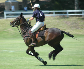 polo player
