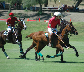 polo players