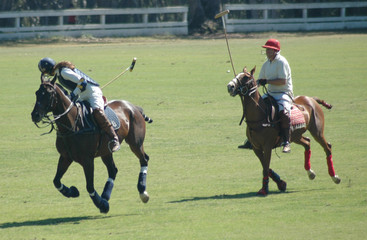 polo players