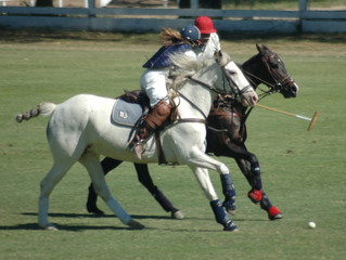 polo players