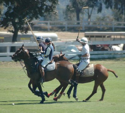 polo players