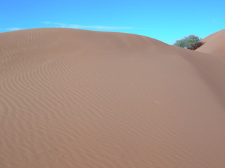 wüste_2