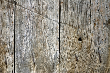 wood texture