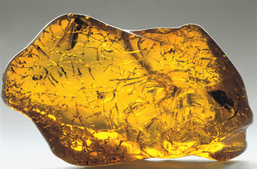 amber inkluzja-5