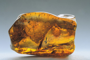 amber inkluzja-16