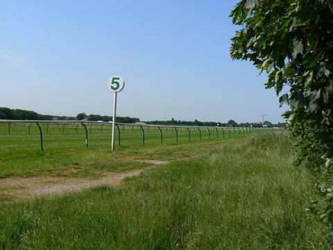 racecourse