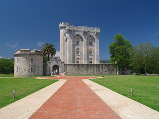 Fototapeta na wymiar castillo de arteaga