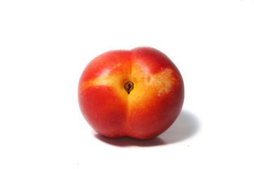nectarine