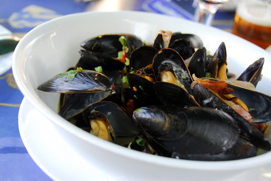 mussels